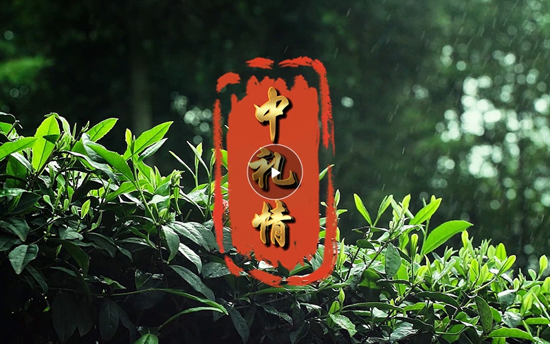 中礼情